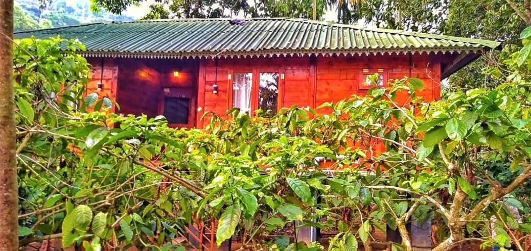 Wooden Cottages Glen Wayanad Meppādi Exterior foto