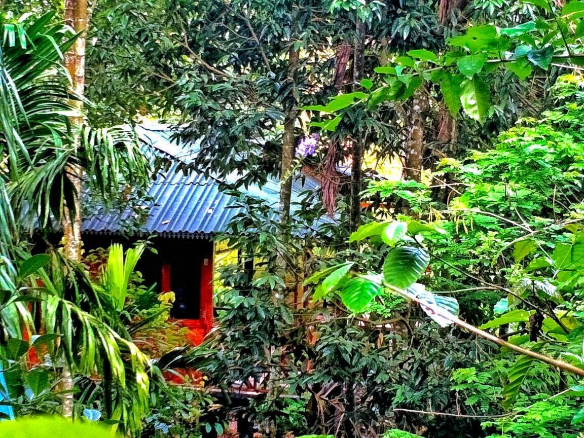 Wooden Cottages Glen Wayanad Meppādi Exterior foto