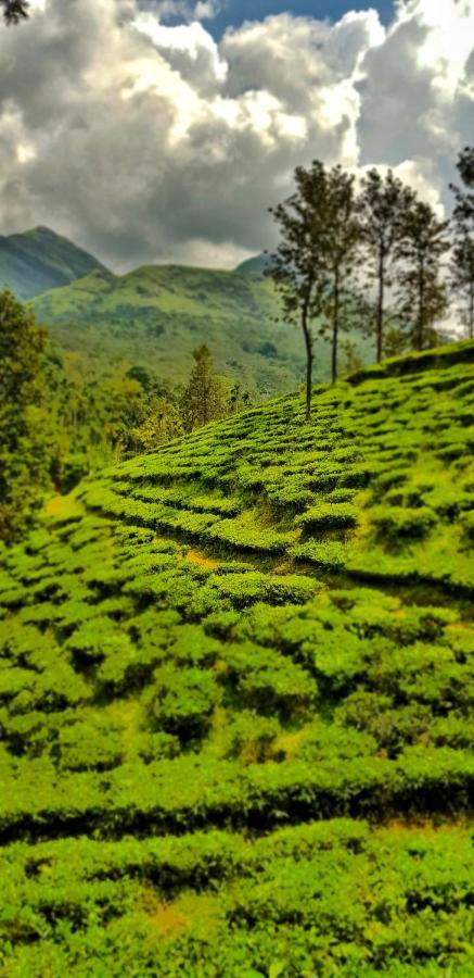 Wooden Cottages Glen Wayanad Meppādi Exterior foto