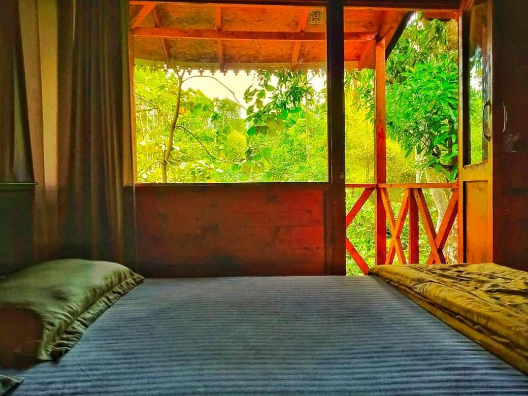 Wooden Cottages Glen Wayanad Meppādi Exterior foto