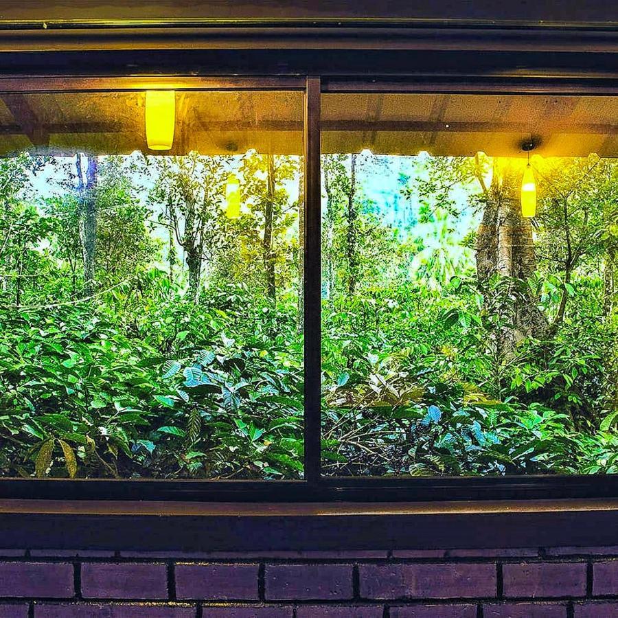 Wooden Cottages Glen Wayanad Meppādi Exterior foto