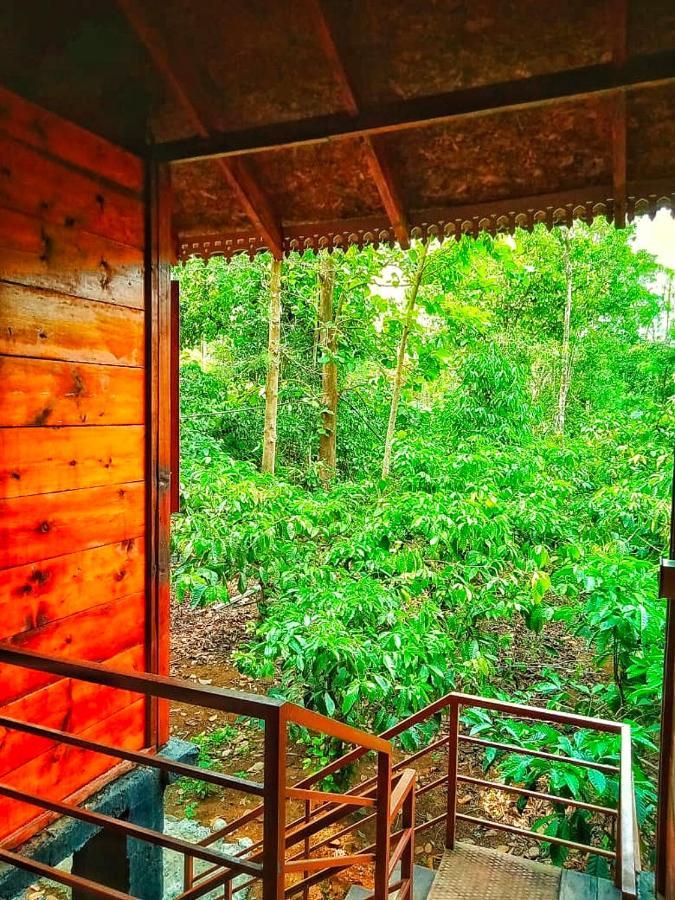 Wooden Cottages Glen Wayanad Meppādi Exterior foto