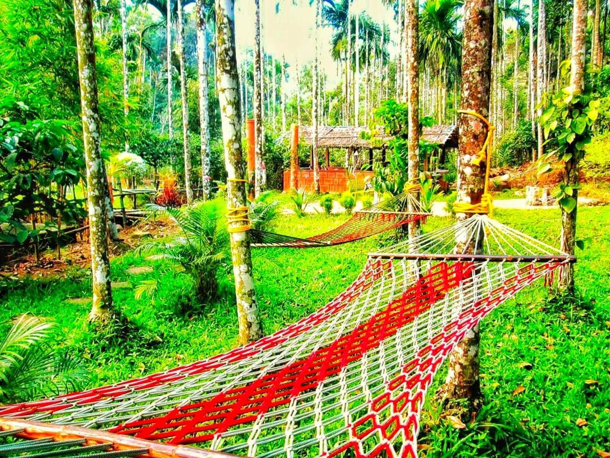 Wooden Cottages Glen Wayanad Meppādi Exterior foto