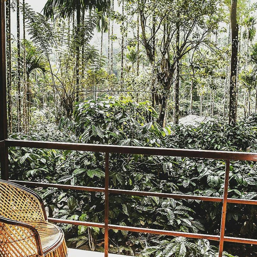 Wooden Cottages Glen Wayanad Meppādi Exterior foto