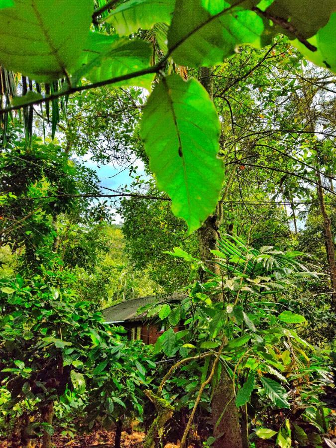 Wooden Cottages Glen Wayanad Meppādi Exterior foto