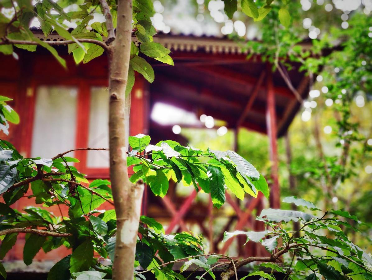 Wooden Cottages Glen Wayanad Meppādi Exterior foto