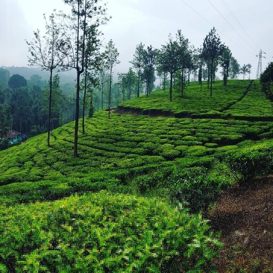 Wooden Cottages Glen Wayanad Meppādi Exterior foto