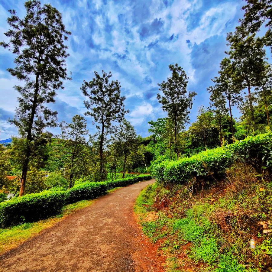 Wooden Cottages Glen Wayanad Meppādi Exterior foto