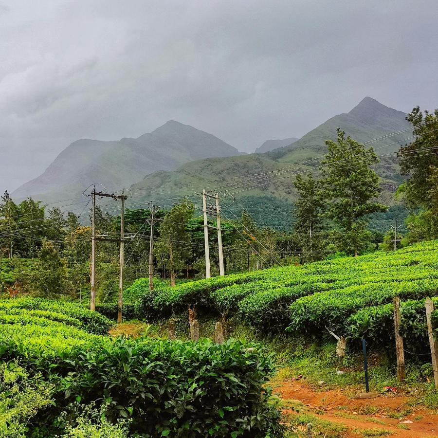 Wooden Cottages Glen Wayanad Meppādi Exterior foto
