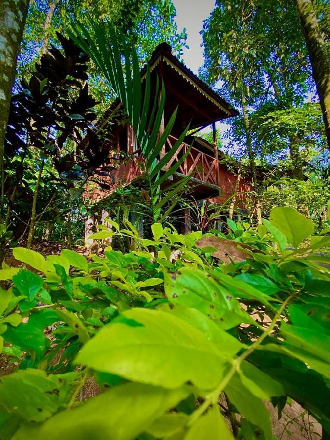 Wooden Cottages Glen Wayanad Meppādi Exterior foto