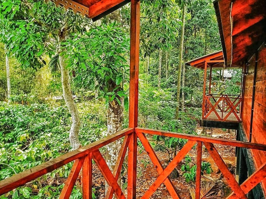 Wooden Cottages Glen Wayanad Meppādi Exterior foto