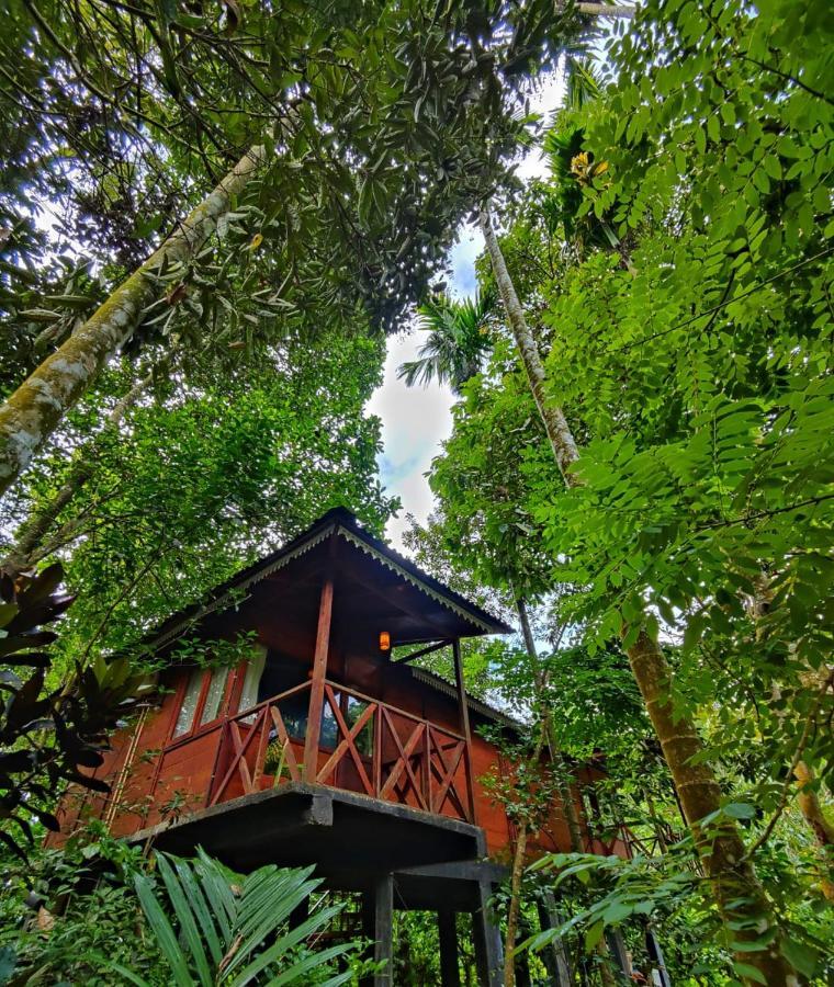 Wooden Cottages Glen Wayanad Meppādi Exterior foto